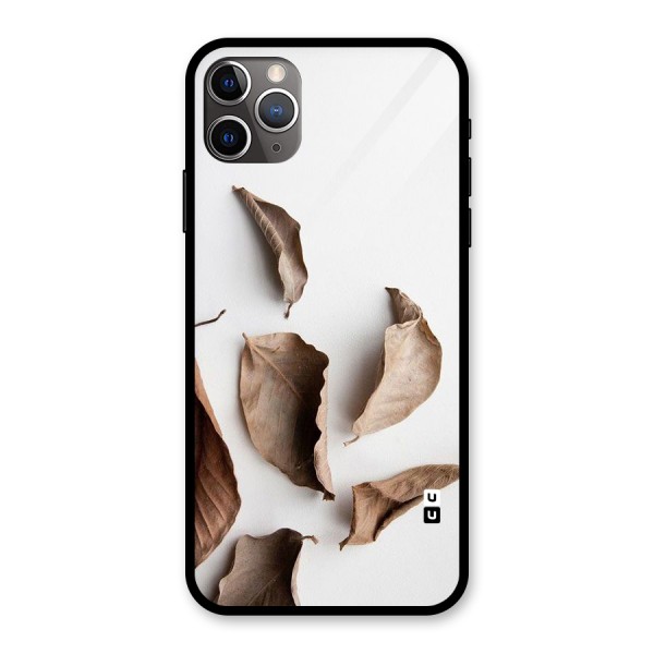 Brown Dusty Leaves Glass Back Case for iPhone 11 Pro Max