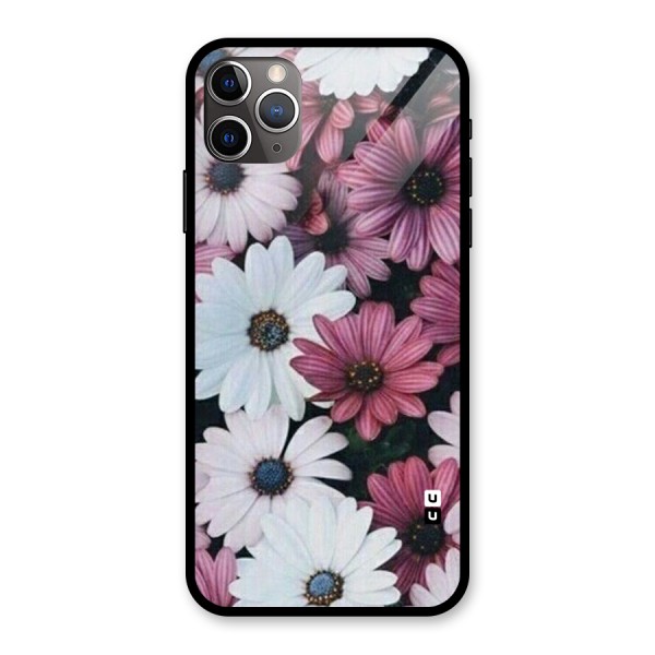 Floral Shades Pink Glass Back Case for iPhone 11 Pro Max