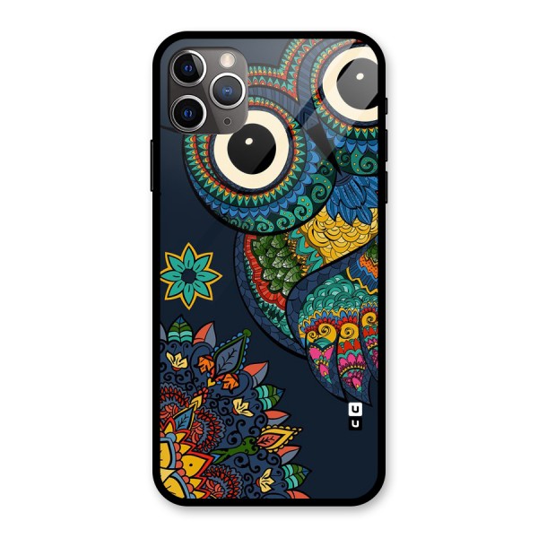 Owl Eyes Glass Back Case for iPhone 11 Pro Max