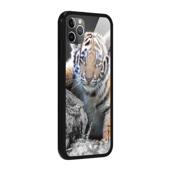 Animal Beauty Glass Back Case for iPhone 11 Pro Max