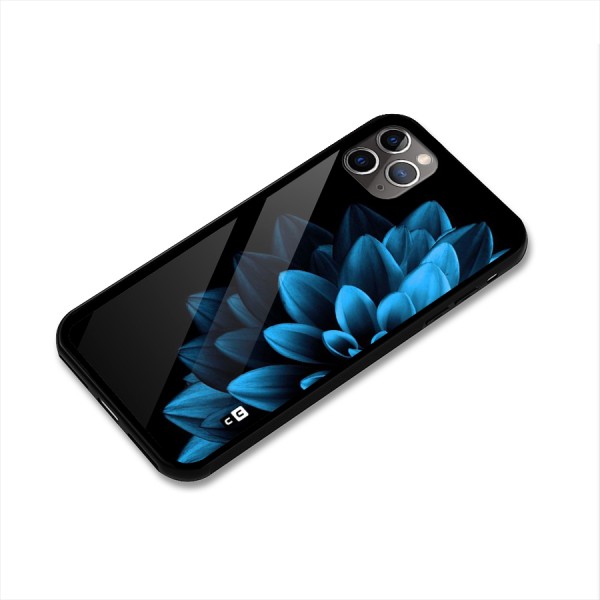Half Blue Flower Glass Back Case for iPhone 11 Pro Max