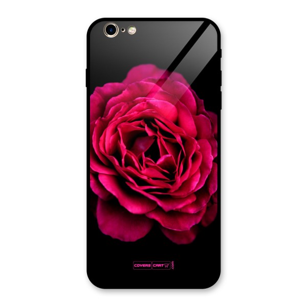 Magical Rose Glass Back Case for iPhone 6 Plus 6S Plus