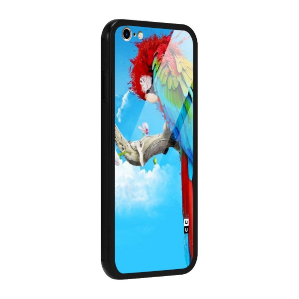 Sky Parrot Glass Back Case for iPhone 6 Plus 6S Plus