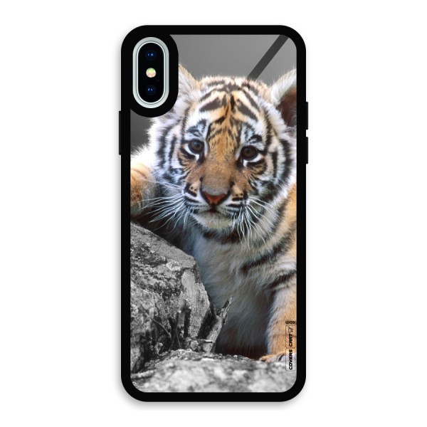 Animal Beauty Glass Back Case for iPhone X