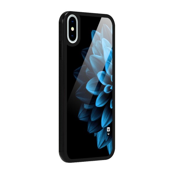 Petals In Blue Glass Back Case for iPhone X