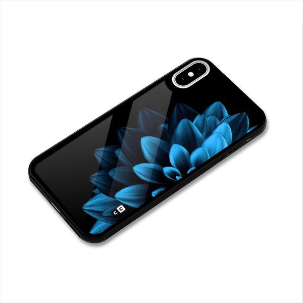 Petals In Blue Glass Back Case for iPhone X