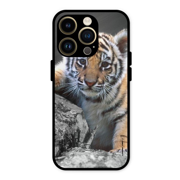 Animal Beauty Metal Back Case for iPhone 14 Pro