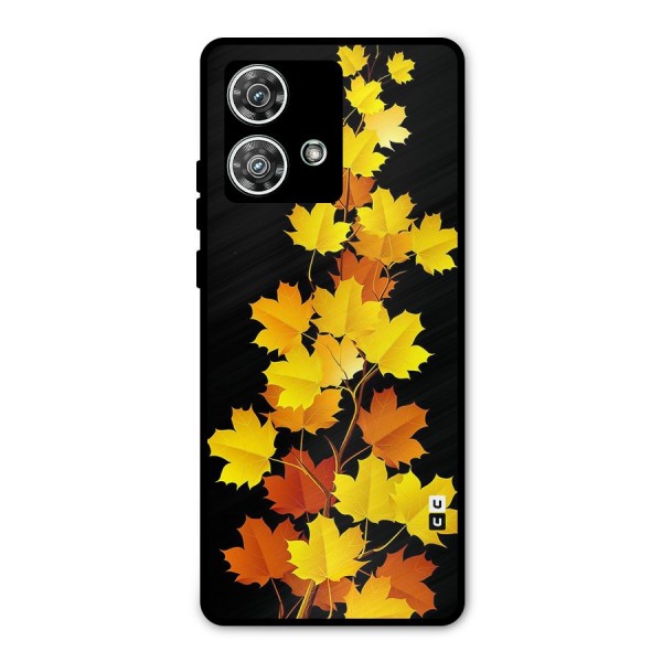 Autumn Forest Leaves Metal Back Case for Motorola Edge 40 Neo
