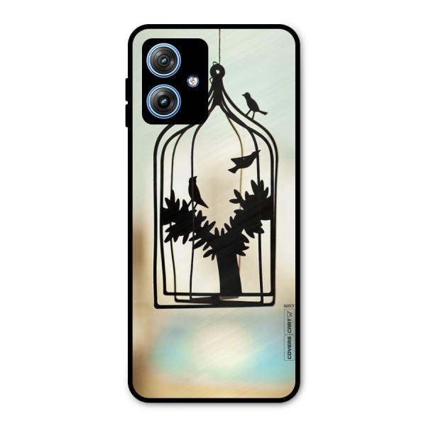 Beautiful Pegion Cage Metal Back Case for Moto G54