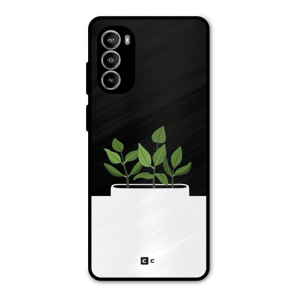 Beautiful Plant Pot Minimalistic Metal Back Case for Moto G82