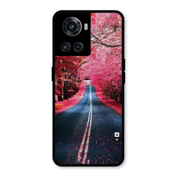 Beautiful Red Trees Metal Back Case for OnePlus 10R