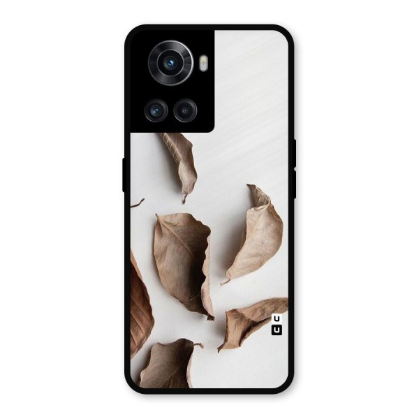 Brown Dusty Leaves Metal Back Case for OnePlus 10R