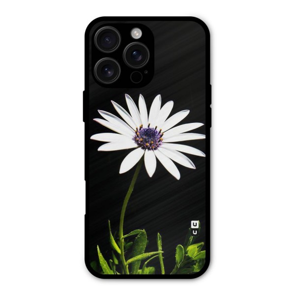 Flower White Spring Metal Back Case for iPhone 16 Pro Max