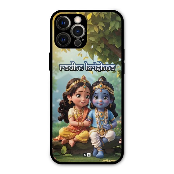 Hare Radhe Krishna Metal Back Case for iPhone 12 Pro Max