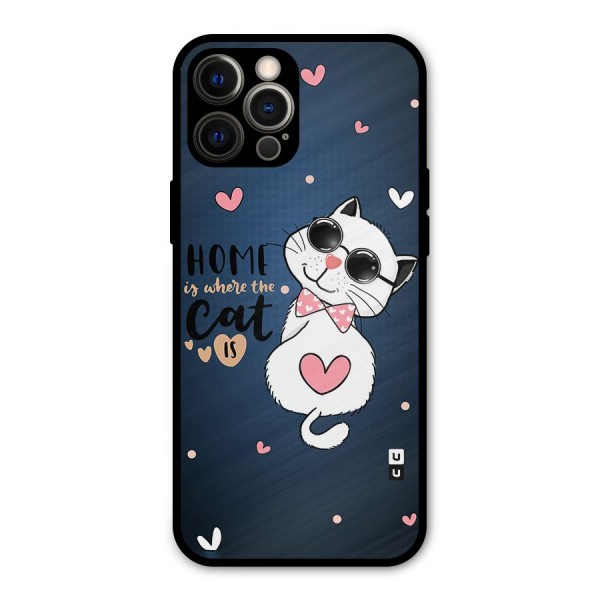 Home Where Cat Metal Back Case for iPhone 12 Pro Max