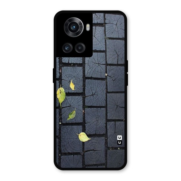 Leaf On Floor Metal Back Case for OnePlus 10R