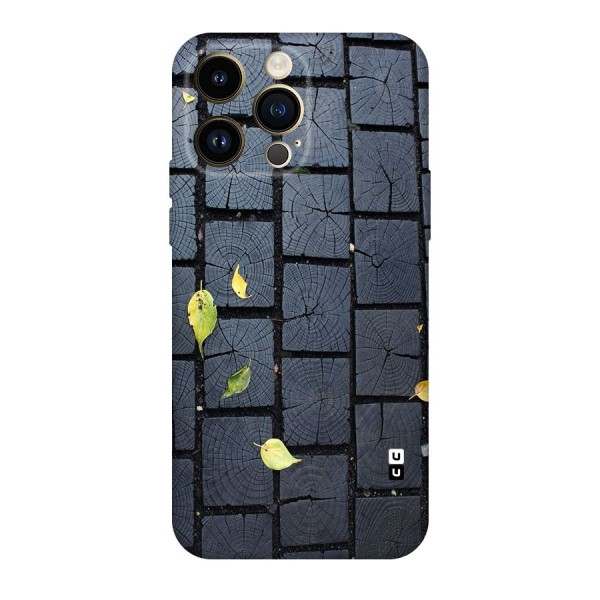 Leaf On Floor Original Polycarbonate Back Case for iPhone 14 Pro Max