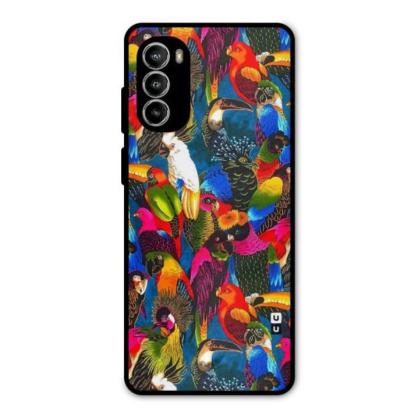 Parrot Art Metal Back Case for Moto G52