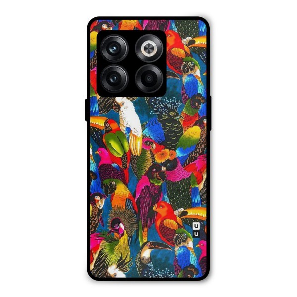Parrot Art Metal Back Case for OnePlus 10T