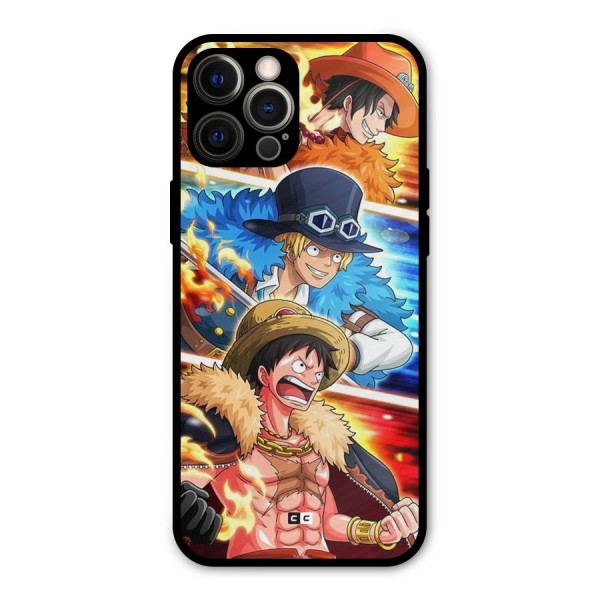 Pirate Brothers Metal Back Case for iPhone 12 Pro Max