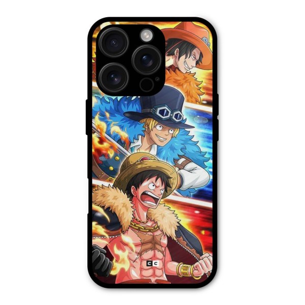Pirate Brothers Metal Back Case for iPhone 16 Pro