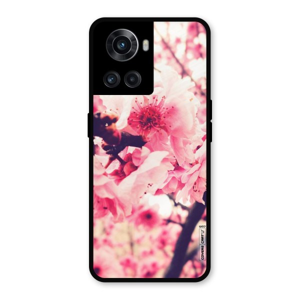 Pretty Pink Flowers Metal Back Case for OnePlus 10R