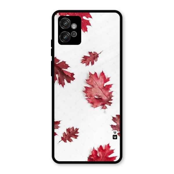Red Appealing Autumn Leaves Metal Back Case for Moto G32