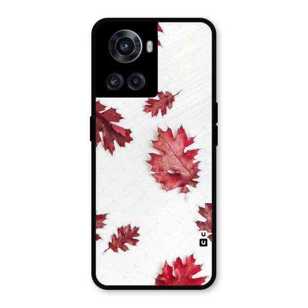 Red Appealing Autumn Leaves Metal Back Case for OnePlus 10R