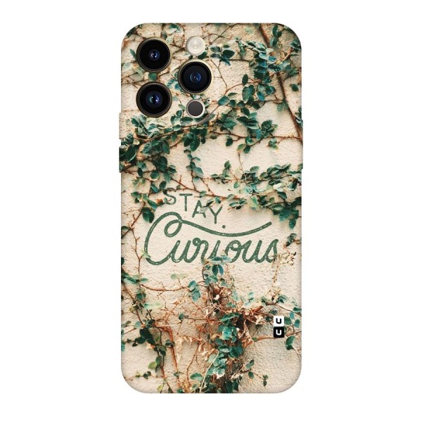 Stay Curious Original Polycarbonate Back Case for iPhone 14 Pro Max