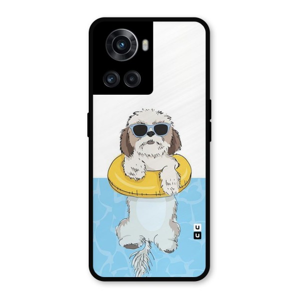 Swimming Doggo Metal Back Case for OnePlus 10R