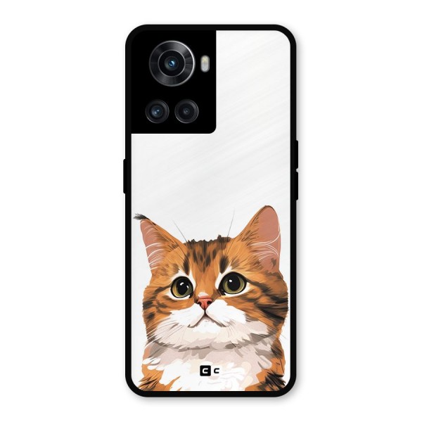 The Cute Cat Metal Back Case for OnePlus 10R