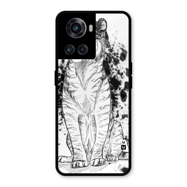 Tiger Wink Metal Back Case for OnePlus 10R
