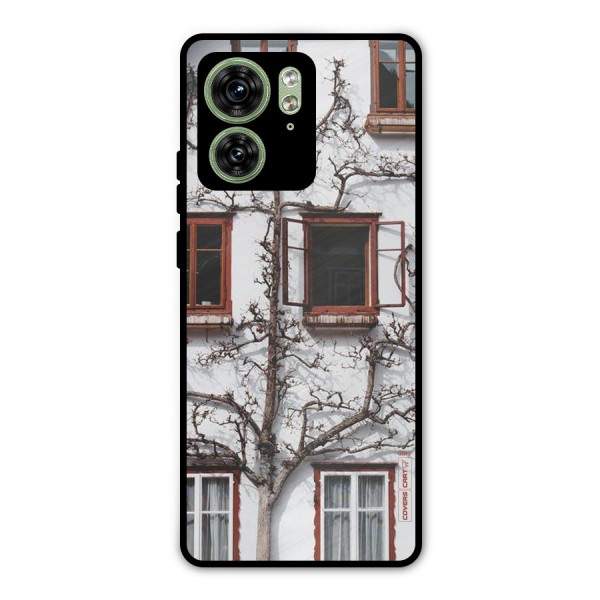 Tree House Metal Back Case for Motorola Edge 40 5G