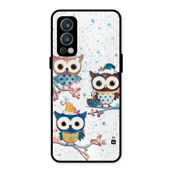 Winter Owls Metal Back Case for OnePlus Nord 2 5G