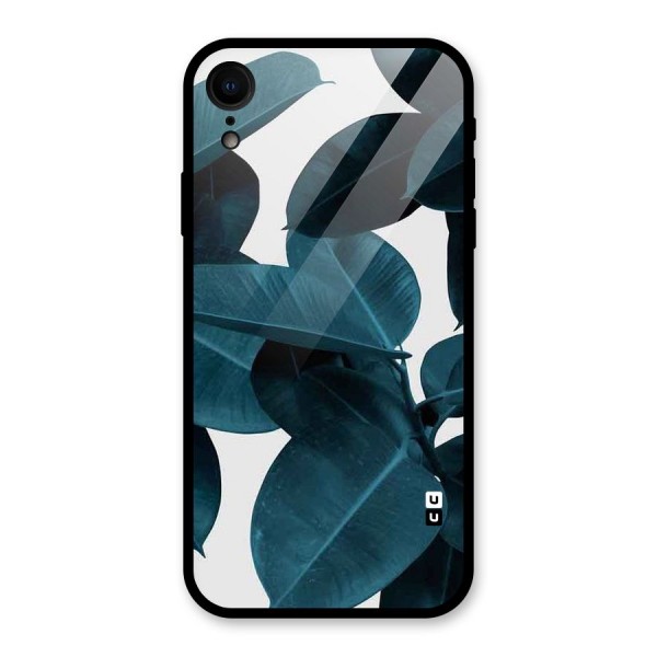 Very Aesthetic Leafs Glass Back Case for iPhone XR