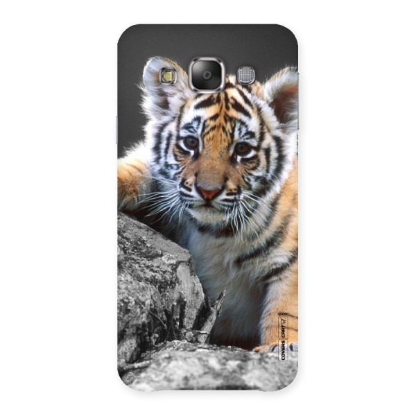 Animal Beauty Back Case for Galaxy E7