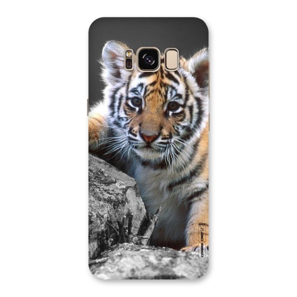 Animal Beauty Back Case for Galaxy S8