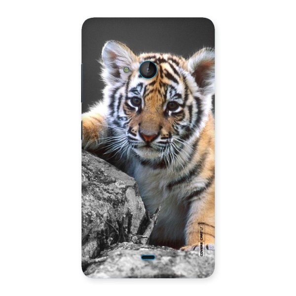 Animal Beauty Back Case for Lumia 540
