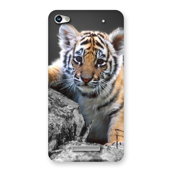 Animal Beauty Back Case for Micromax Hue 2