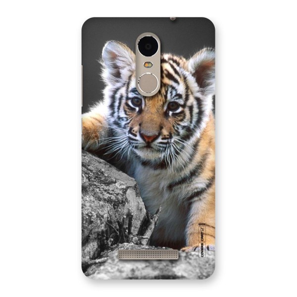 Animal Beauty Back Case for Xiaomi Redmi Note 3
