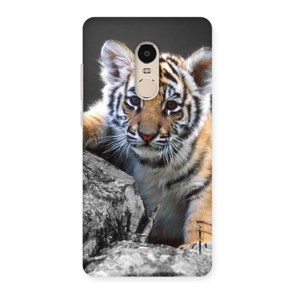 Animal Beauty Back Case for Xiaomi Redmi Note 4