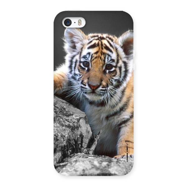 Animal Beauty Back Case for iPhone SE