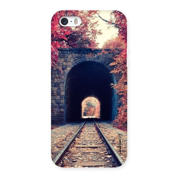 Beautiful Track Back Case for iPhone 5 5S