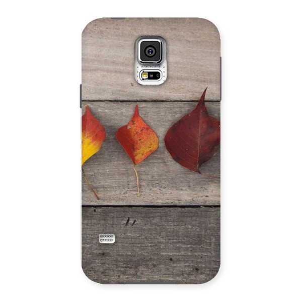 Beautiful Wood Leafs Back Case for Samsung Galaxy S5
