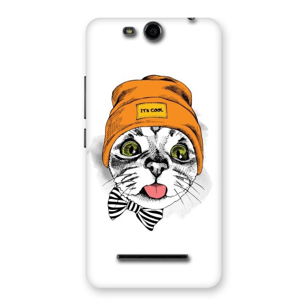 Cool cat Back Case for Micromax Canvas Juice 3 Q392
