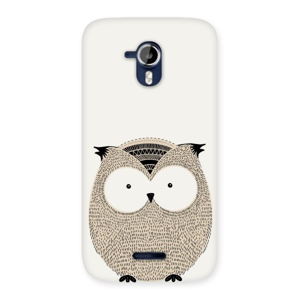 Cute Owl Back Case for Micromax Canvas Magnus A117
