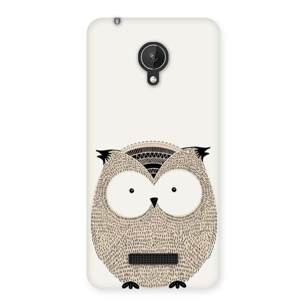 Cute Owl Back Case for Micromax Canvas Spark Q380