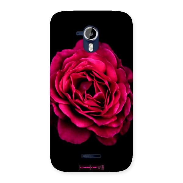 Magical Rose Back Case for Micromax Canvas Magnus A117