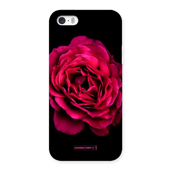 Magical Rose Back Case for iPhone 5 5S