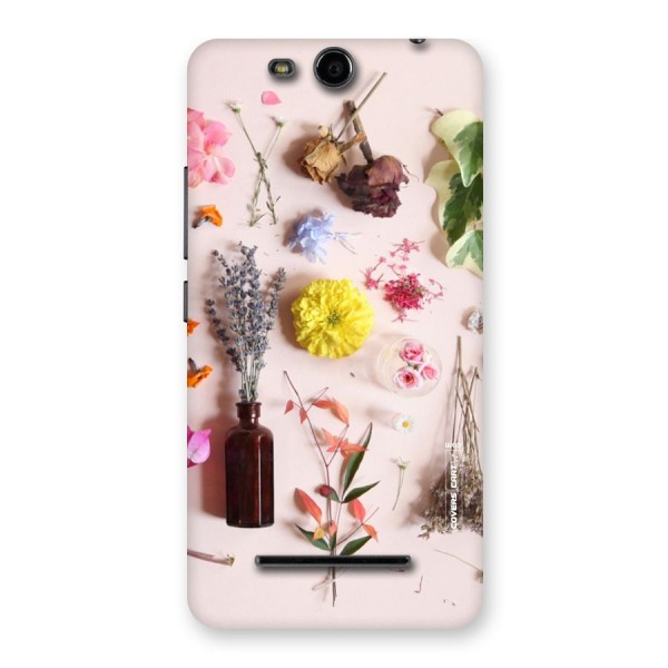 Old Petals Back Case for Micromax Canvas Juice 3 Q392
